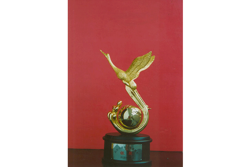 常青花園12號小區(qū)13#號樓工程獲黃鶴杯銀獎(jiǎng)