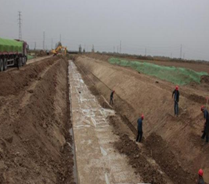 新洲農(nóng)業(yè)綜合開發(fā)倒東中型灌區(qū)節(jié)水配套項目